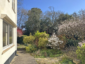 Photo 6- click for photo gallery